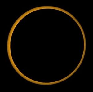 Meet your Posher, Johnny